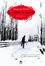Cover of Il ladro di anime