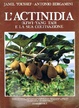 Cover of L'actinidia