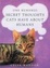 Cover of 'One Hundred Secret Thoughts Cats Have About Humans'