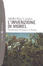 Cover of L'invenzione di Morel