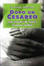 Cover of Dopo un cesareo