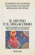 Cover of Il divino e il megacosmo