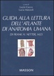 Cover of Guida alla lettura dell'atlante di anatomia umana di Frank H