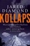 <span class='translatable' lang='Cover of '{[title]}''>Cover of 'Kollaps'</span>