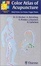 Cover of Color Atlas of Acupuncture