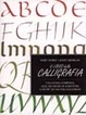 Cover of Il libro della calligrafia