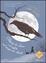 Cover of Flavia de Luce
