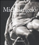 Cover of Michelangelo scultore