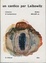 Cover of Un cantico per Leibowitz