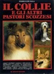 Cover of Il collie e gli altri pastori scozzesi