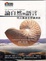 Cover of 論自然與語言