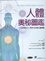 Cover of 人體奧秘圖鑑