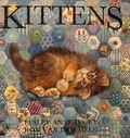 Kittens : Pop-up Book