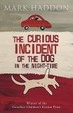 Cover of The Curious Incident of the Dog in the Night-Time (YA Ed.)