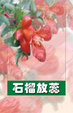 Cover of 石榴放蕊