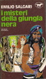 Cover of I misteri della jungla nera