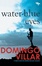 Cover of 'Water-Blue Eyes'