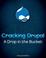 Cover of Cracking Drupal