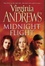 Cover of "Midnight Flight"
