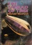 Cover of The Nomad of Time