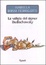 Cover of "La valigia del signor Budischowsky"