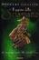 Cover of Il segreto dello sciamano