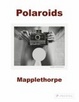 Cover of Mapplethorpe Polaroids