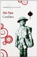Cover of Cambios