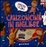 Cover of Canzoncine in inglese. Con CD Audio