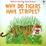 Cover of 'Why Do Tigers Have Stripes?'