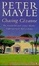Cover of Chasing Cezanne