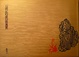 Cover of 石頭記的虛幻與真實
