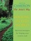 Cover of "Walking in This World"
