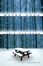 Cover of Water Dogs