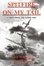 Cover of 'Spitfire on my Tail'