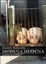 Cover of Modena Modena. Con DVD