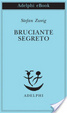 Cover of Bruciante segreto