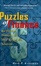 Cover of Puzzles of Finance