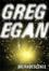 Cover of Incandescence