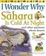 Cover of "I Wonder Why the Sahara is Cold at Night"