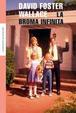 Cover of La broma infinita