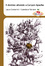Cover of Il destino attende a Canyon Apache