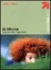 Cover of In Irlanda