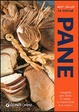 Cover of Pane