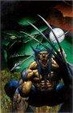 Cover of Hulk/Wolverine