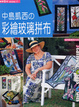 Cover of 彩繪玻璃拼布