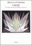 Cover of Lampi