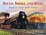 Cover of "Steam, Smoke and Steel"