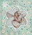 Cover of Flower Fairies Friends Wild Cherrys Secret