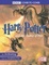 Cover of "Harry Potter and the Goblet of Fire"